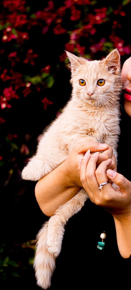 Photograph by kobra akbari