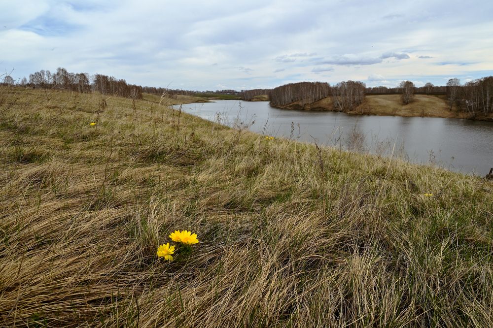 Photograph by Александр