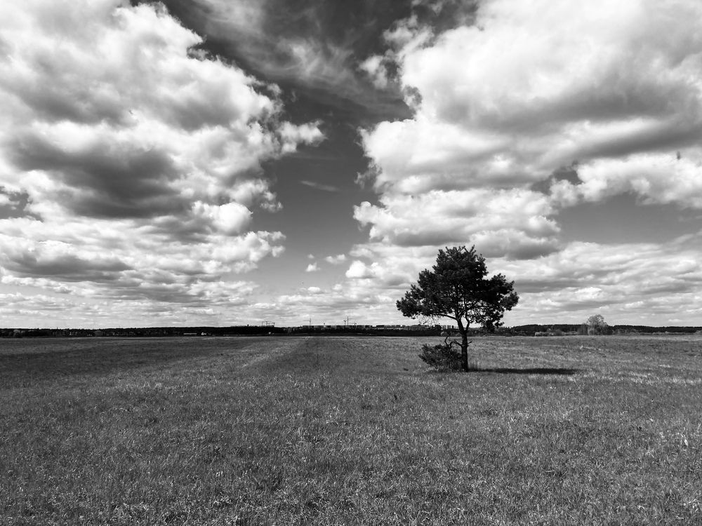 Photograph by Казаков Александр