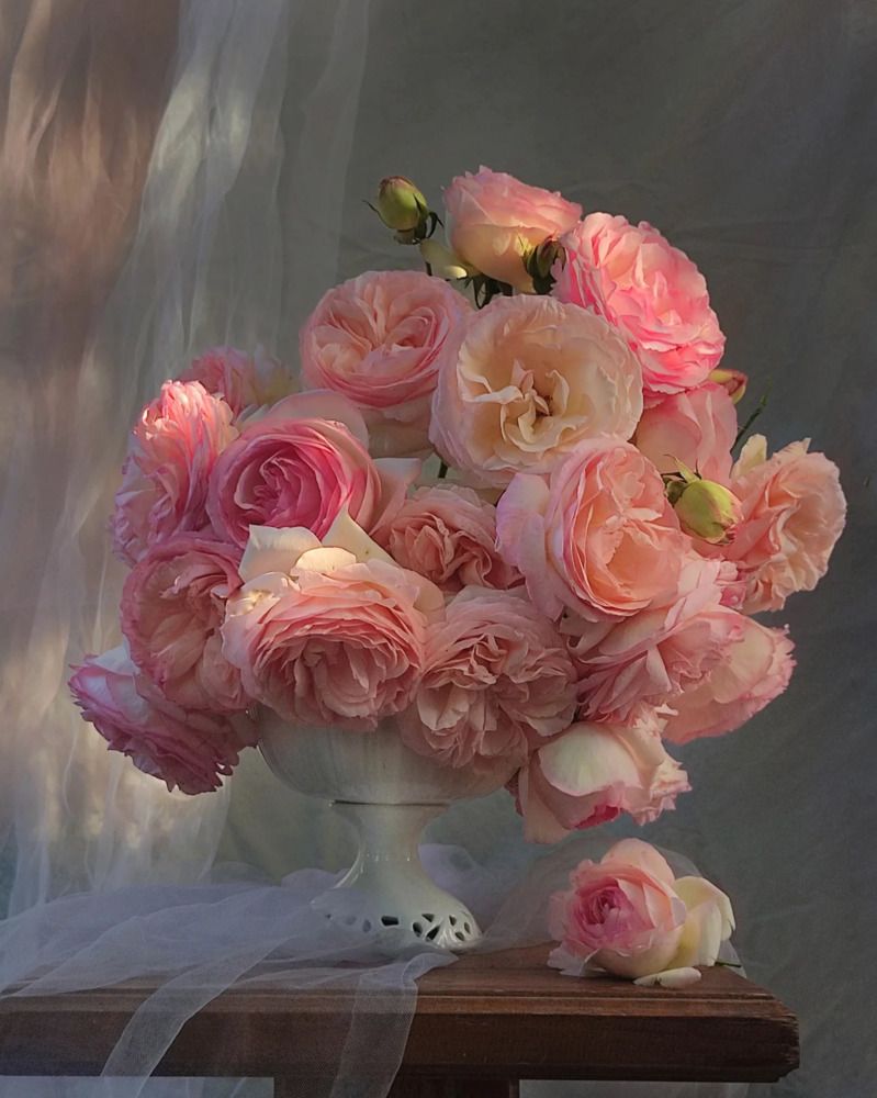 Фотография автора Инга Шевелёва