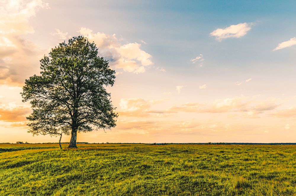 Photograph by Сергей Белокуров