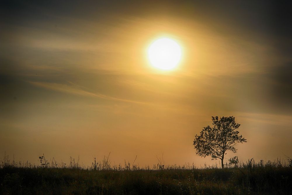 Photograph by Александр Малютин