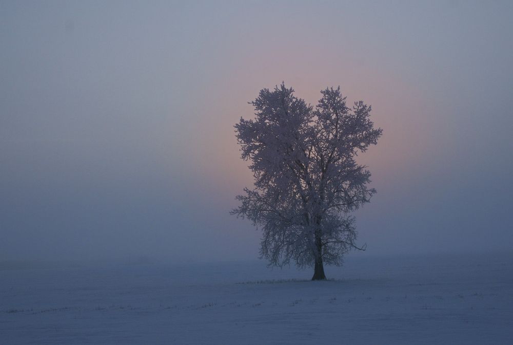 Photograph by Галина Ильясова