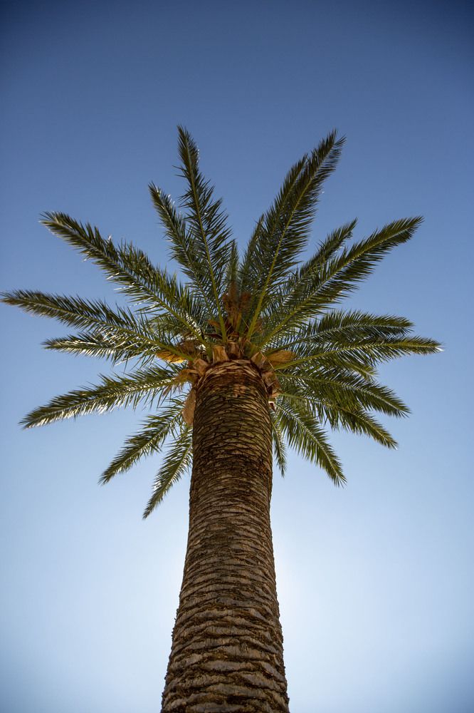 Фотография автора Евгений Цапенко