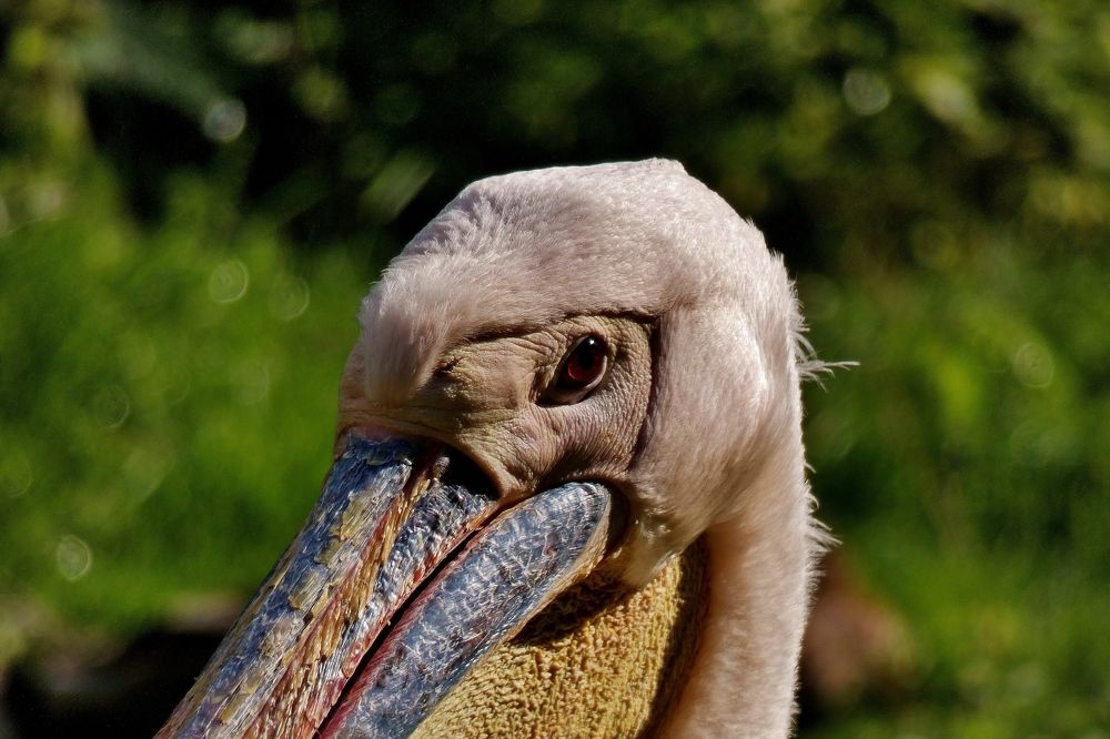 Photograph by backareva irina