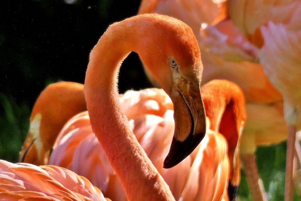 Photograph by backareva irina