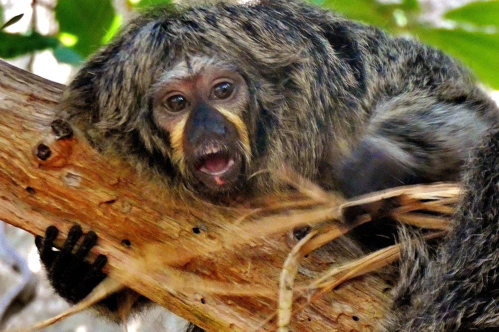 Photograph by backareva irina