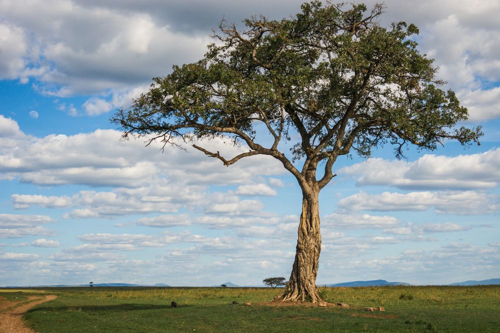 Photograph by Дария Максимова