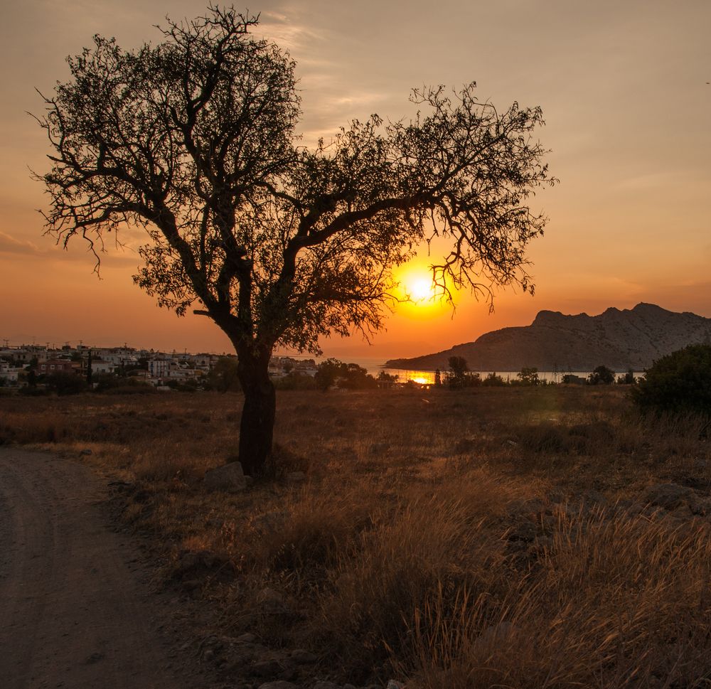 Photograph by Дария Максимова