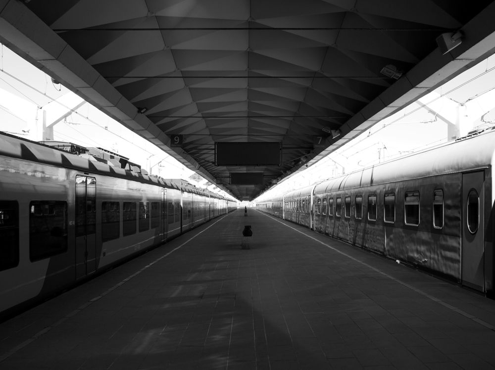 Photograph by Алексей Серпов