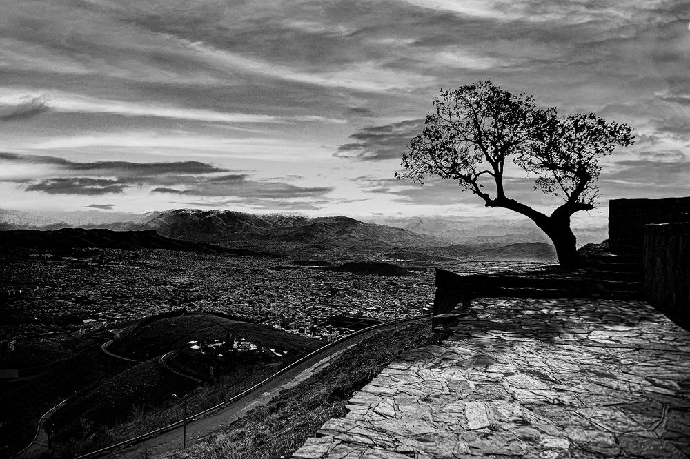 Photograph by Homayoun Tamaddon