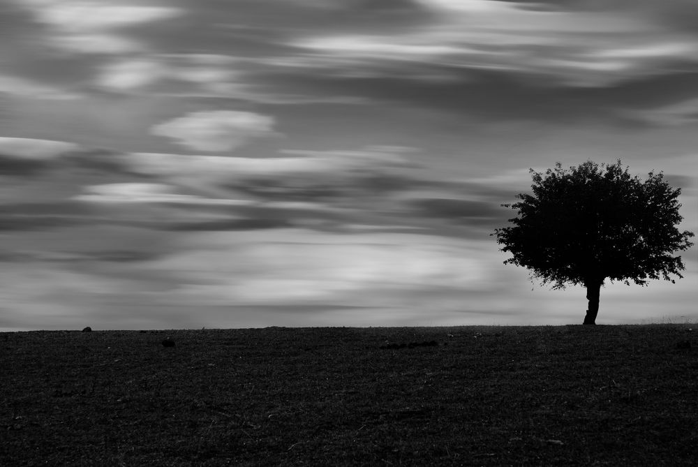 Photograph by Homayoun Tamaddon