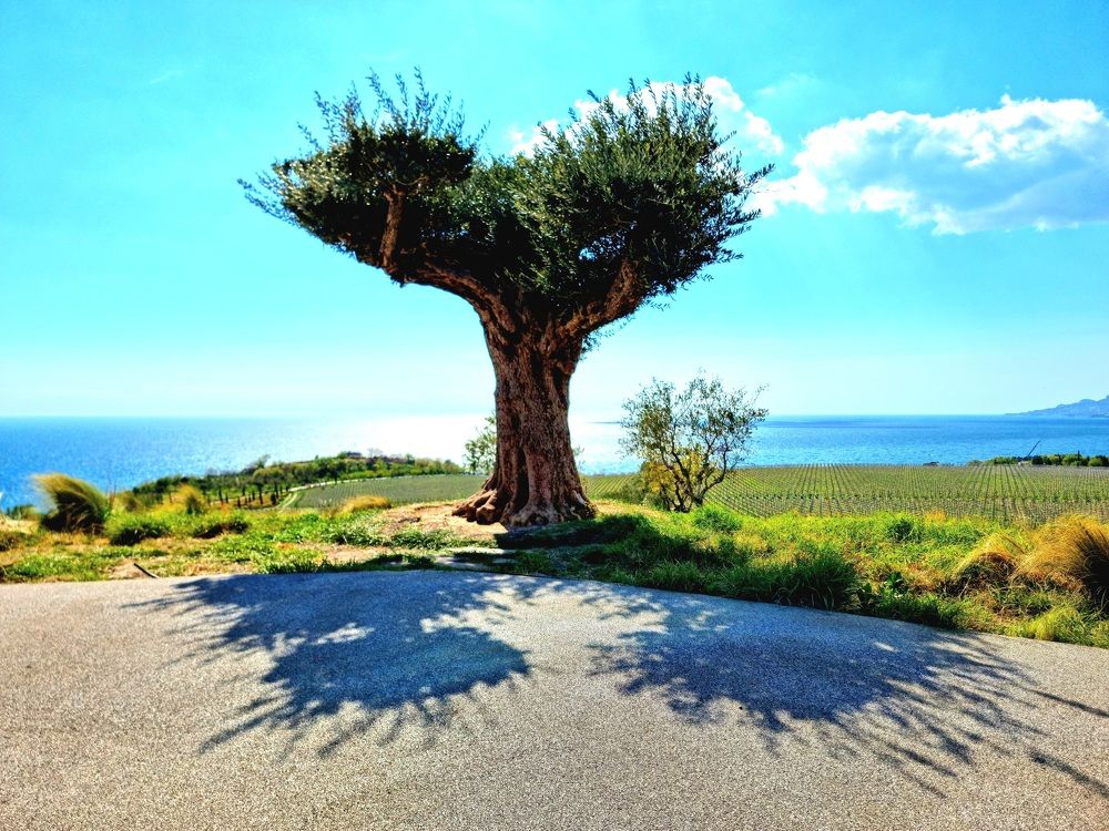 Photograph by Евгений Фесенко