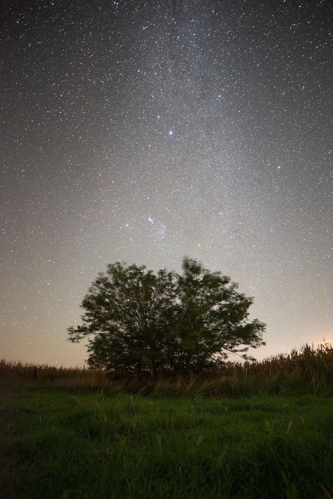 Photograph by Luis Sebastian Jeremías