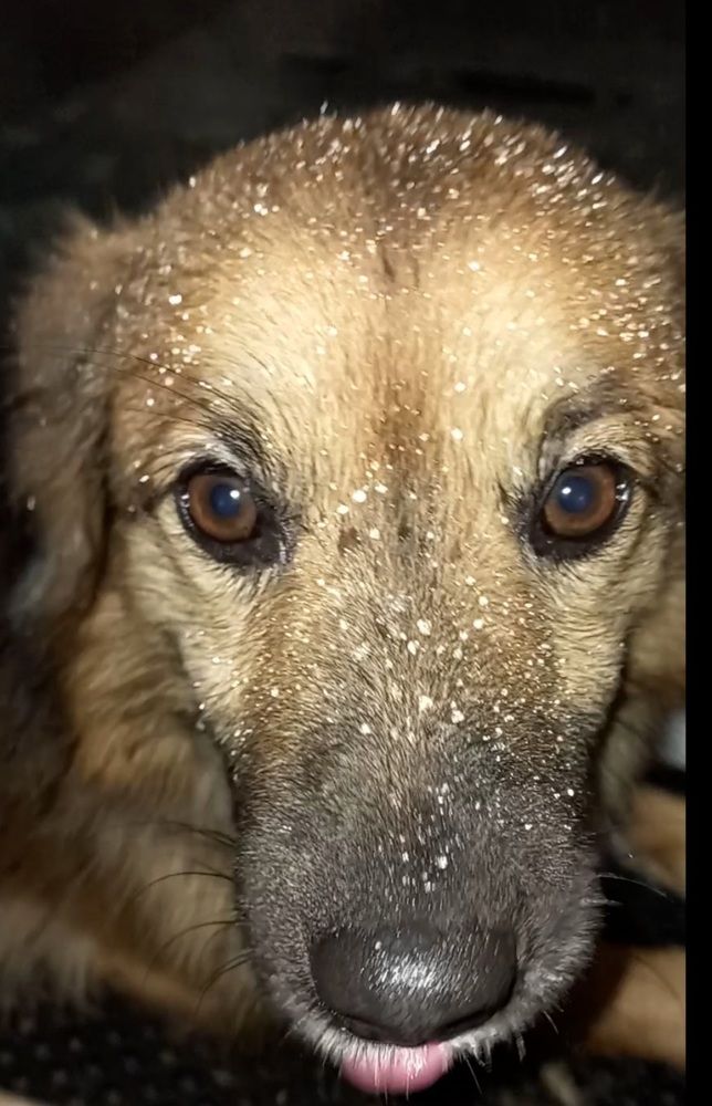 Фотография автора Марина Новикова