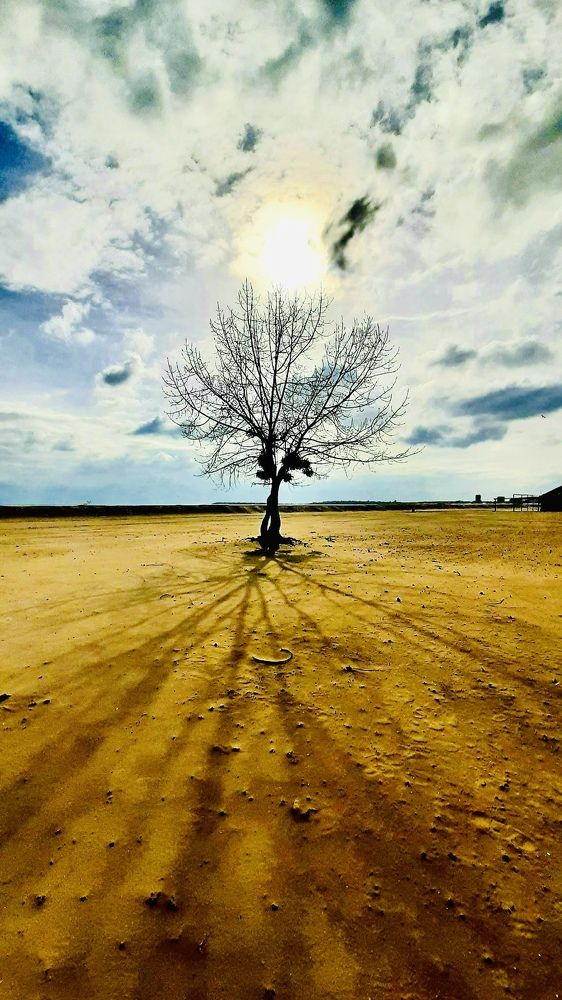 Photograph by Светлана Соколова