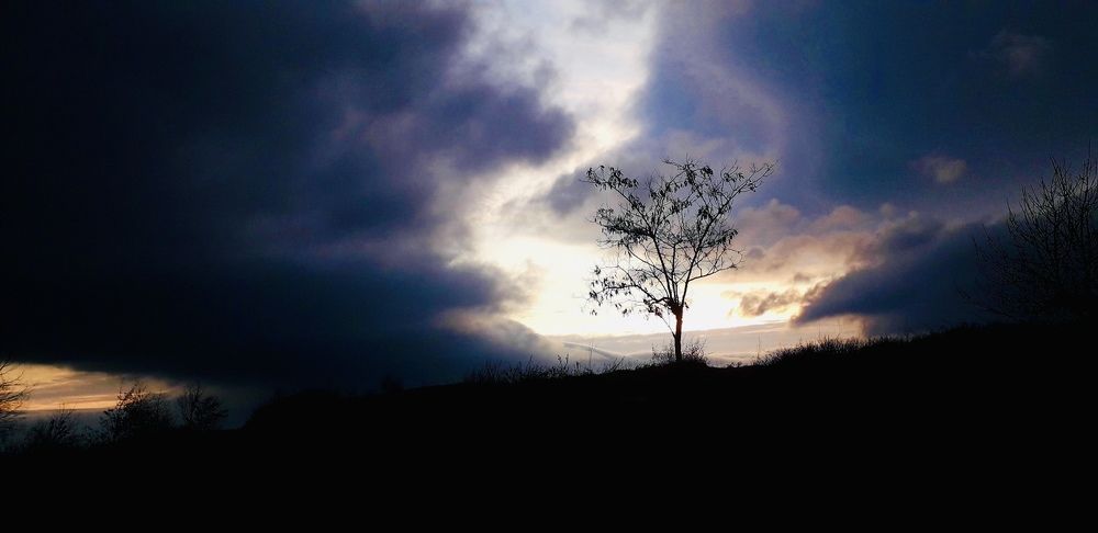 Photograph by Светлана Соколова