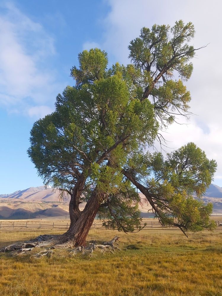 Photograph by Олег Лебедев