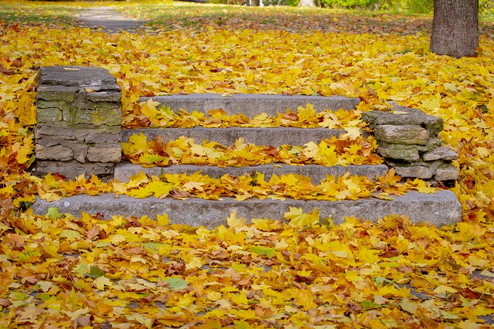 Photograph by Наталья Катюжанская