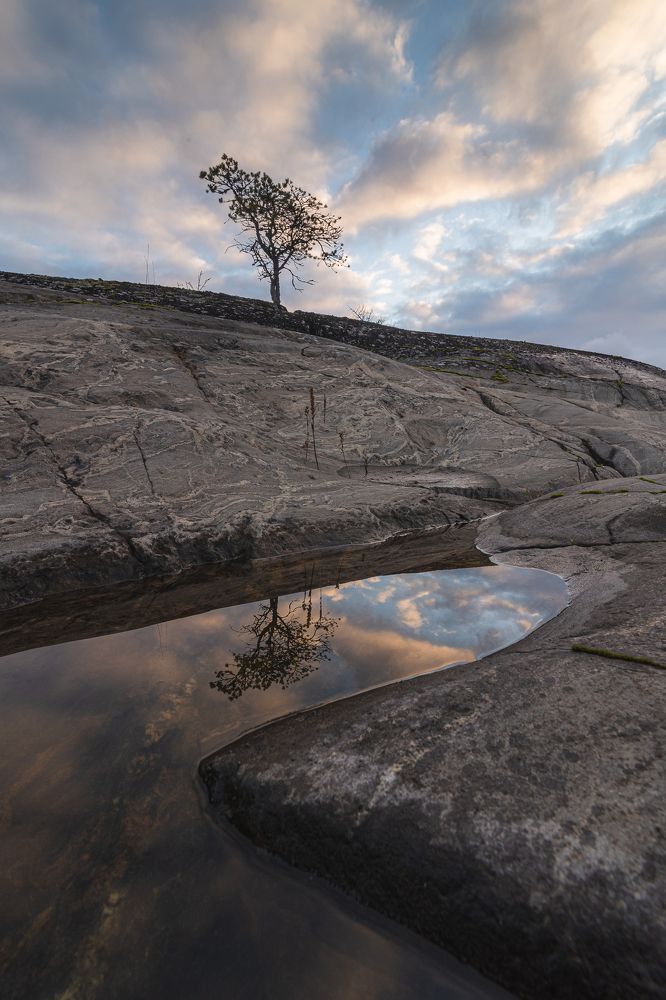 Photograph by Dmitry Ishniyazov