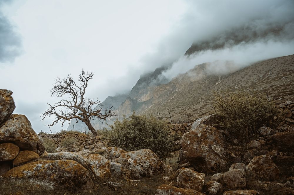 Photograph by Анна Илюхина