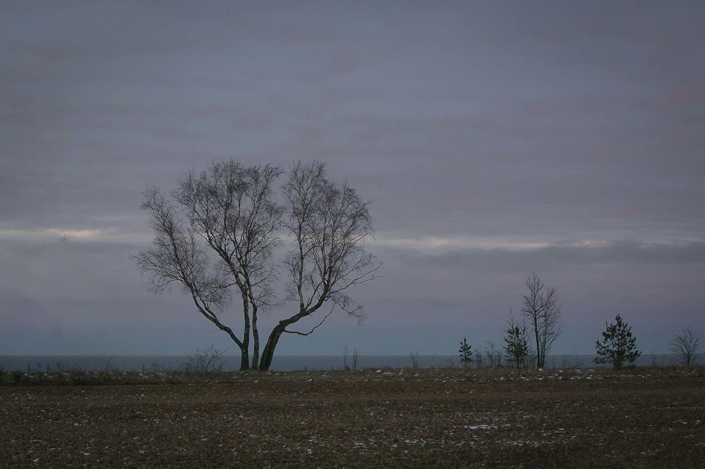 Photograph by Наталья Катюжанская