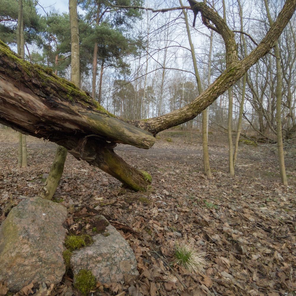 Photograph by Юрий Катков