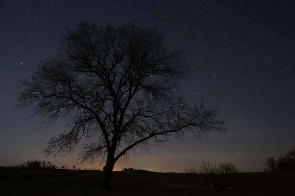 Photograph by Елена Безрядина