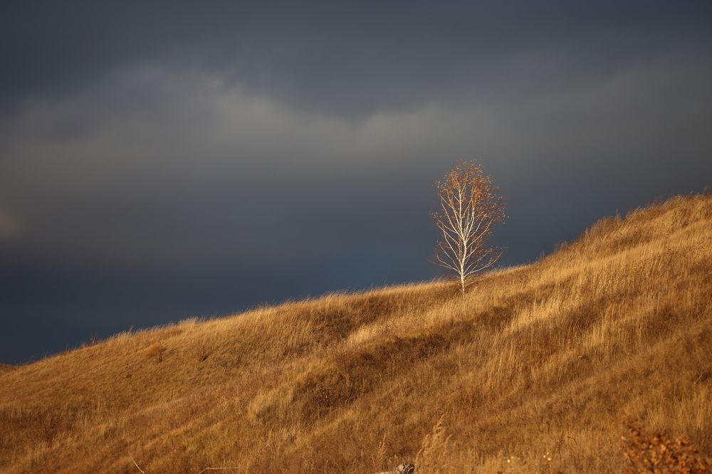 Photograph by Елена Безрядина
