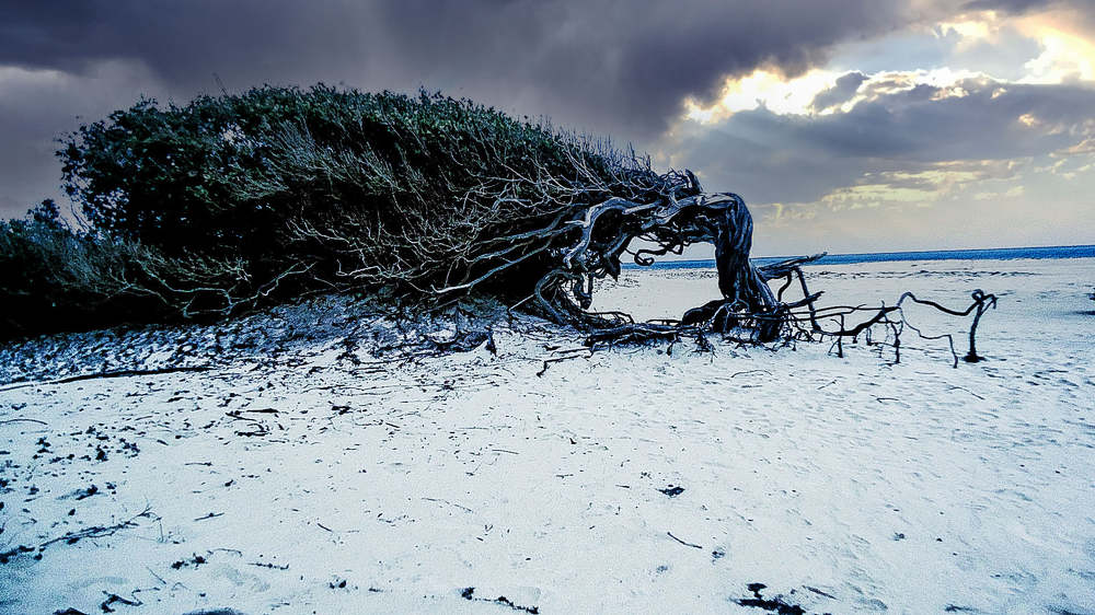 Photograph by Wan Moraes