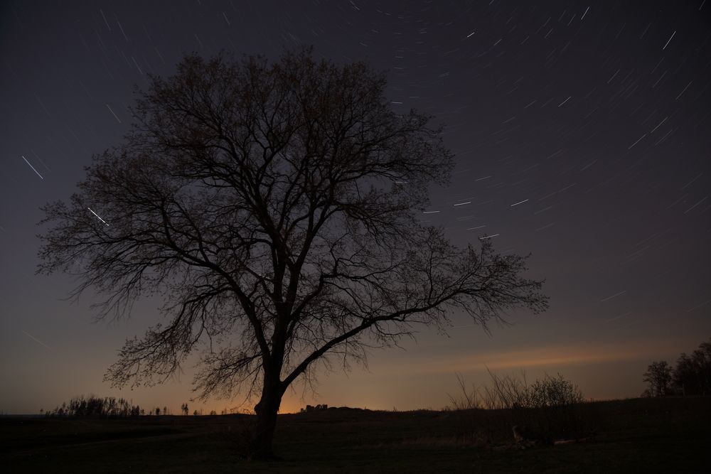 Photograph by Елена Безрядина