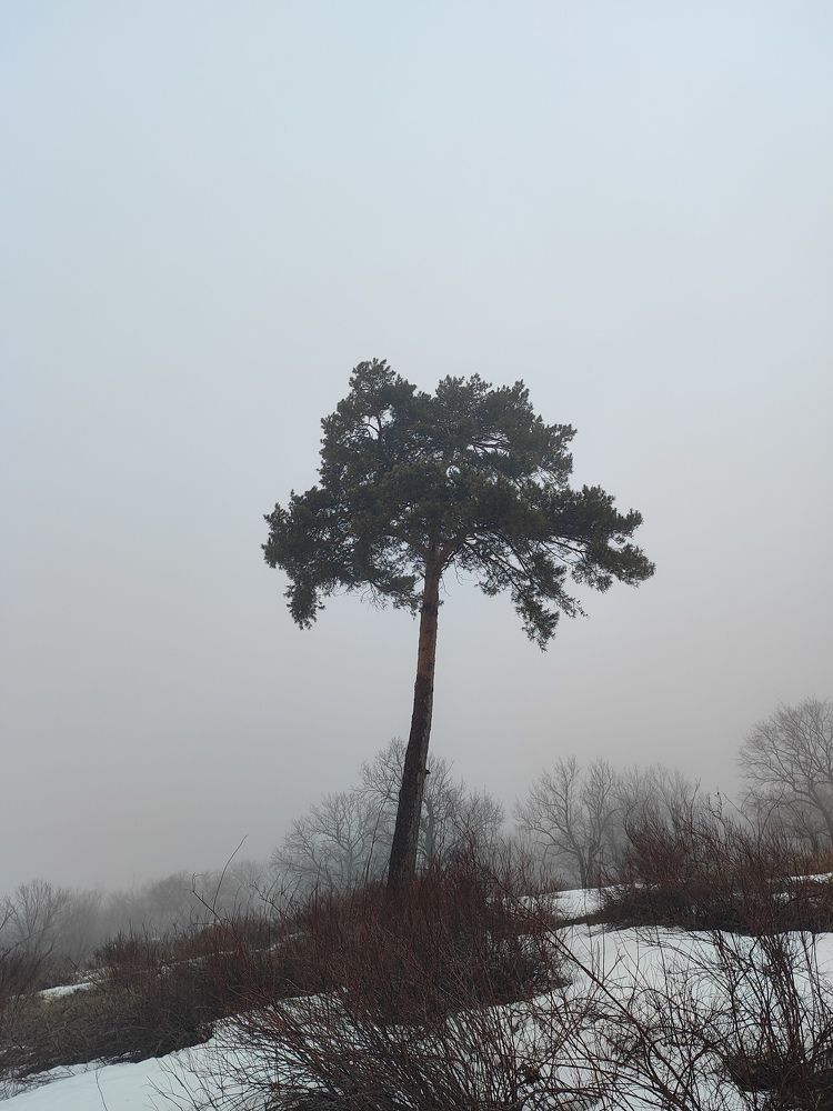 Photograph by Анастасия Зайченко