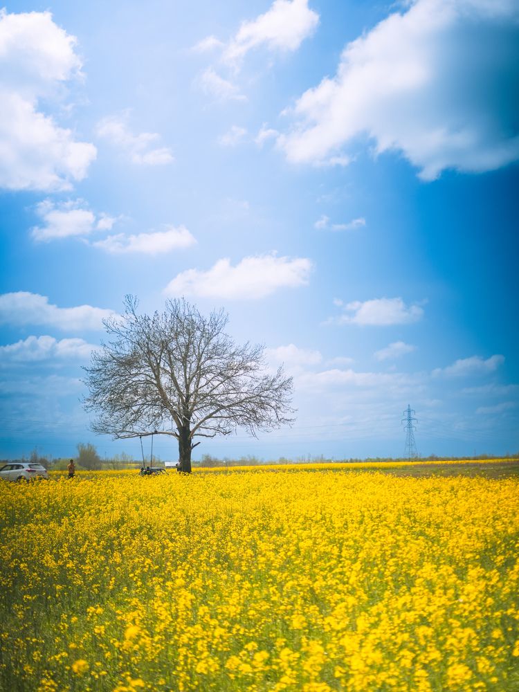 Photograph by Haziq Farooqi