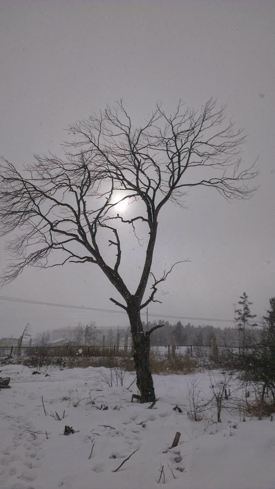 Photograph by Женя Евсеева