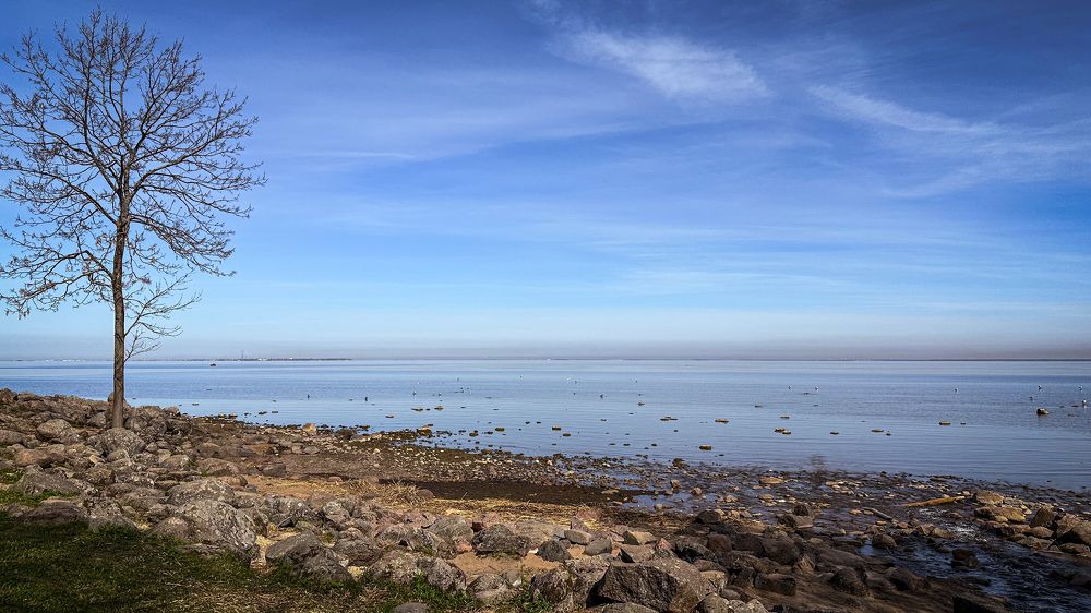 Photograph by  Ирина