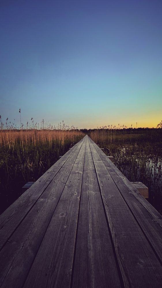 Photograph by Mariia Voloshina