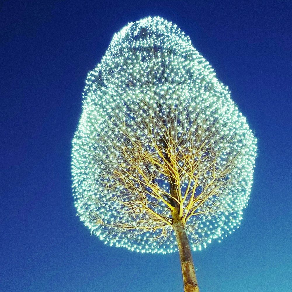 Photograph by Николай Ковальчук