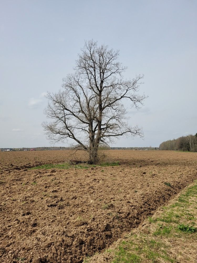 Photograph by Алексей Горин