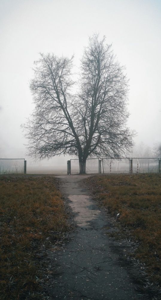 Фотография автора Геннадий Ломеко