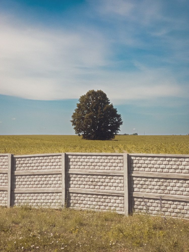 Фотография автора Геннадий Ломеко