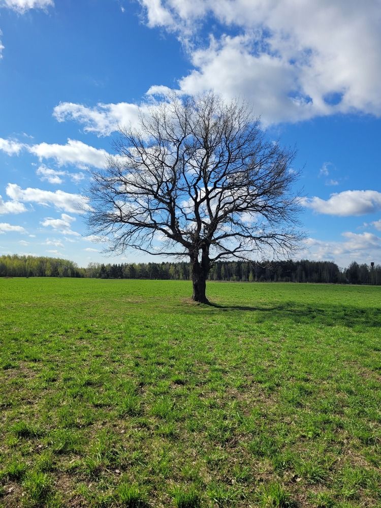 Photograph by Алексей Горин