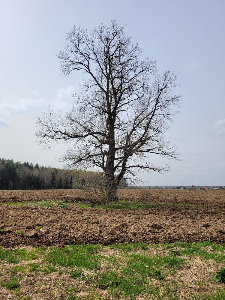 Photograph by Алексей Горин