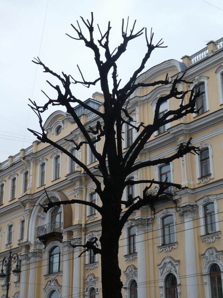 Photograph by Семкин Алексей