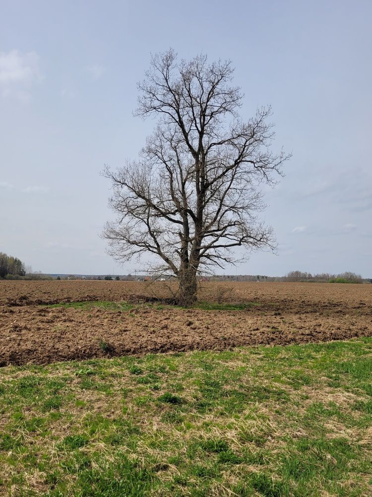 Photograph by Алексей Горин