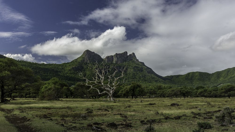 Photograph by Наталья Кокорина