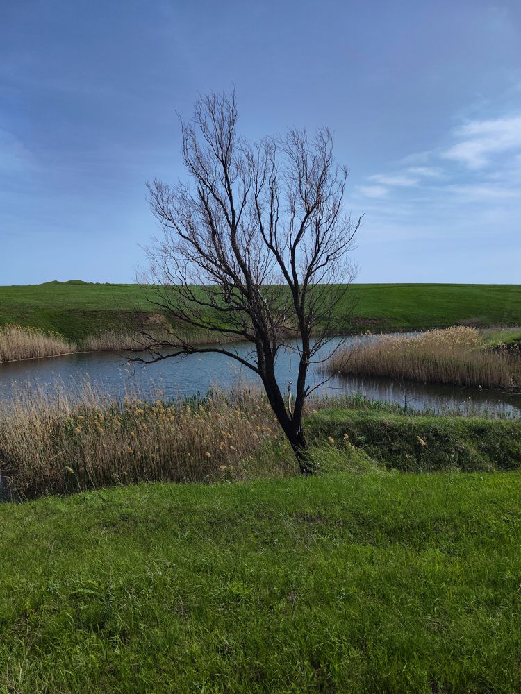 Photograph by Ирина Шибитова