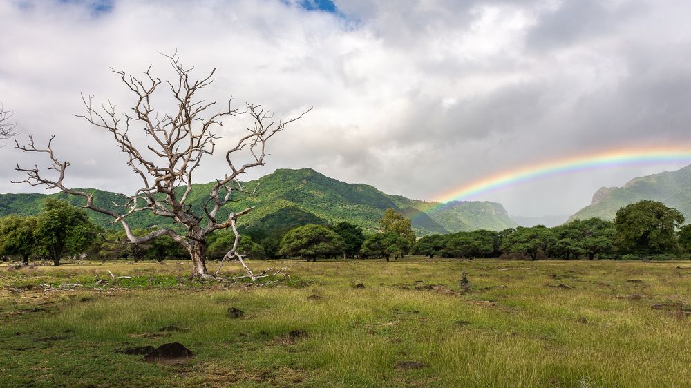 Photograph by Наталья Кокорина