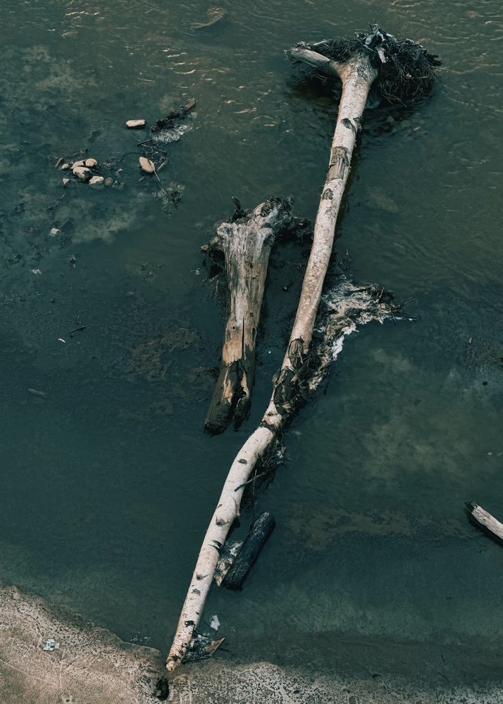 Photograph by Татьяна Казанкова