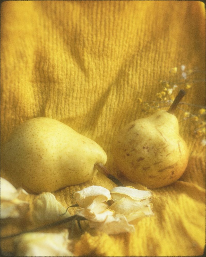 Photograph by Татьяна Казанкова