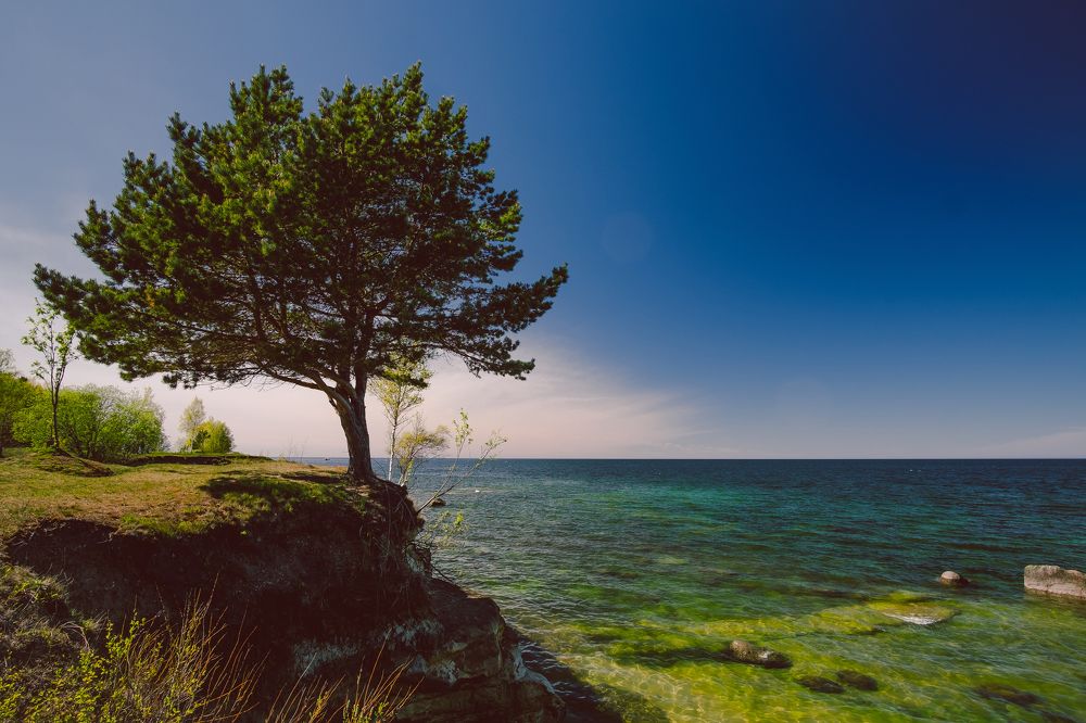 Photograph by Nikita Naumov